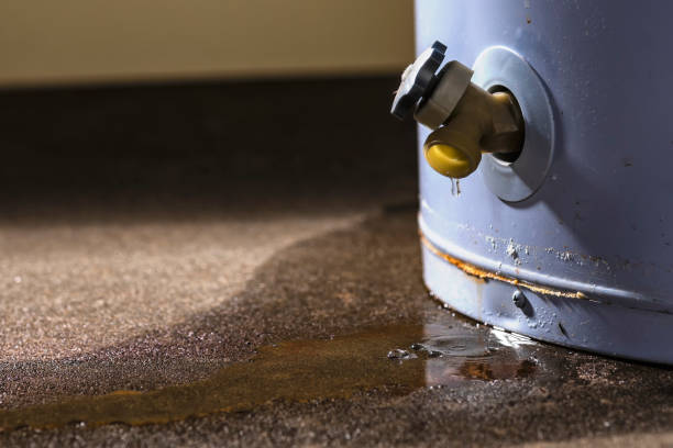 Best Basement water damage restoration  in Moore Haven, FL