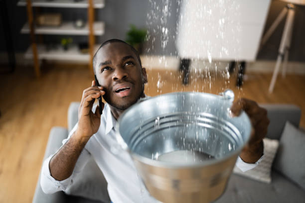 Best Flood damage cleanup  in Moore Haven, FL