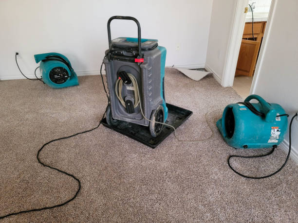 Best Water damage contractors near me  in Moore Haven, FL