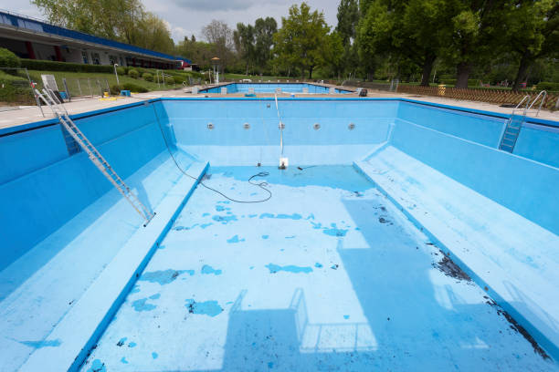 Best Flood restoration services  in Moore Haven, FL