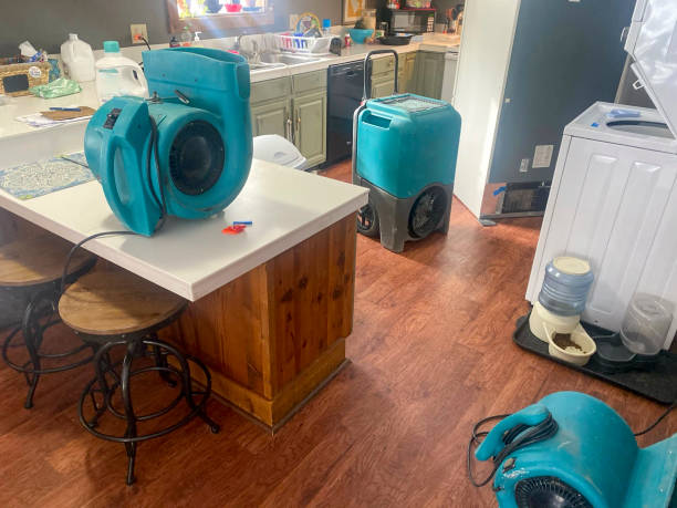 Best Emergency water damage restoration  in Moore Haven, FL