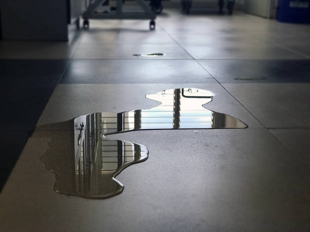 Best 24-hour water damage restoration  in Moore Haven, FL
