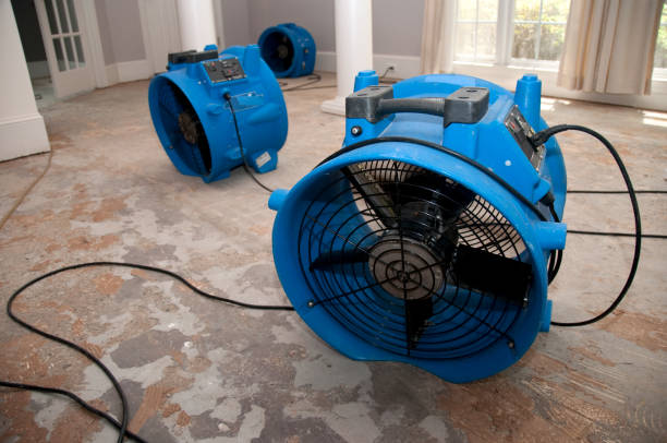 Best Professional water damage repair  in Moore Haven, FL