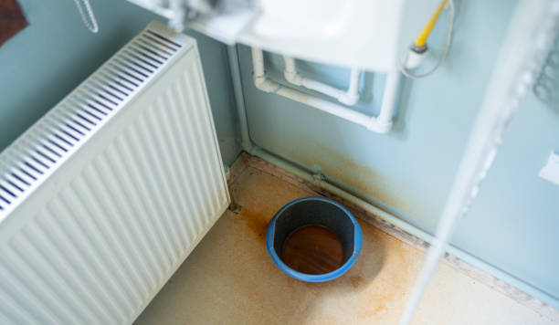 Best Water damage contractors near me  in Moore Haven, FL