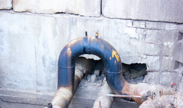 Best Fire Damage Restoration  in Moore Haven, FL