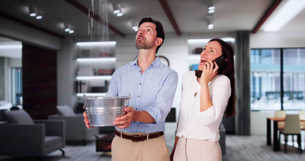 Best Sewage cleanup and water damage restoration  in Moore Haven, FL