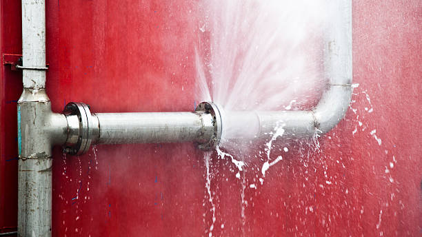 Best Water damage restoration insurance claims  in Moore Haven, FL